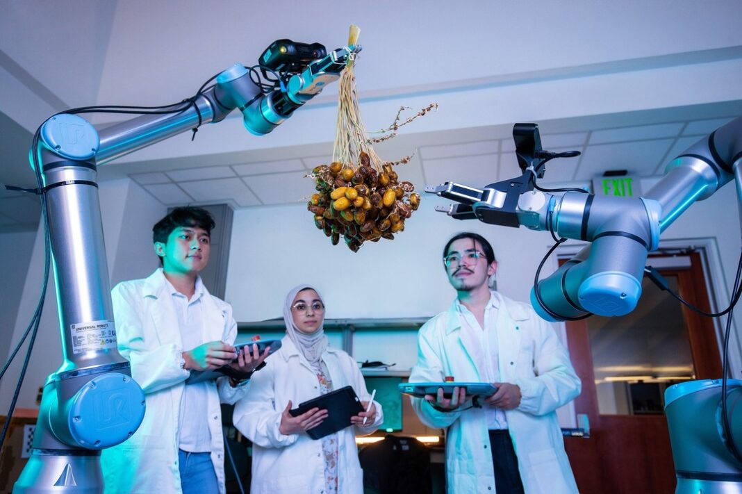 KAUST developing robotic system to improve date palm harvesting