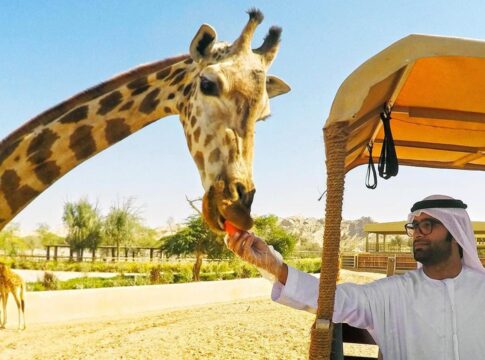 Dubai Safari Park Allocates Ticket Revenue to Wildlife Conservation
