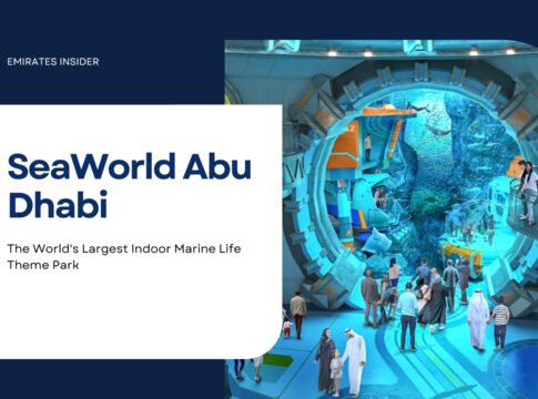 SeaWorld Abu Dhabi: The Complete Guide
