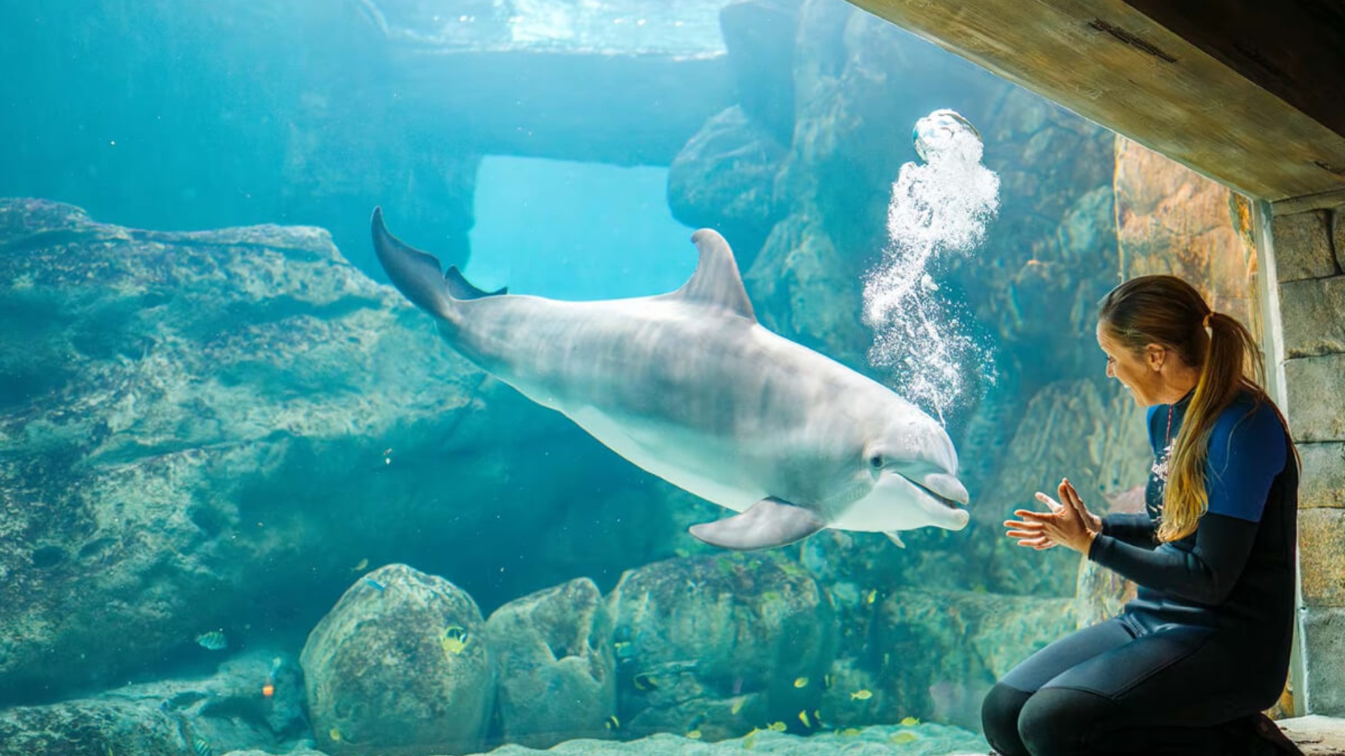 SeaWorld Abu Dhabi